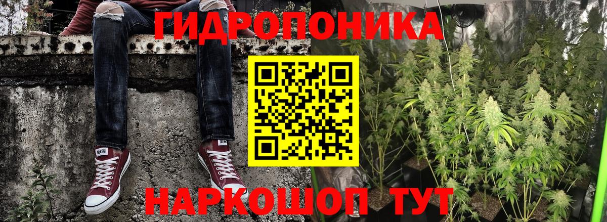 Шишки марихуана индика  Вход с VPN  Коркино  Конопля марихуана  МАРИХУАНА марихуана 